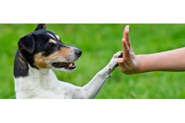 London Fashion Week 360° Candy Rock & Royal Fashion Day